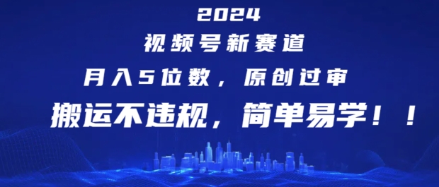 2024视频号红利期，副业新风口！轻松月入5位数，原创搬运双攻略，副业达人必备秘籍-副业资源站 | 数域行者