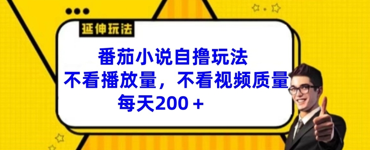 番茄小说日赚200+绝技：无视播放量与视频质量，独家自撸策略大公开-副业资源站 | 数域行者