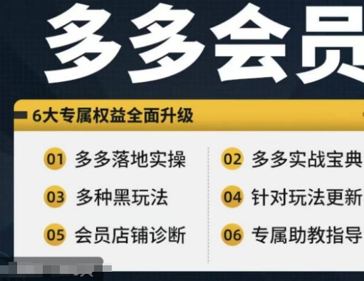 拼多多会员实战秘籍：新手进阶高手，宝典在手，实操无忧！-副业资源站 | 数域行者