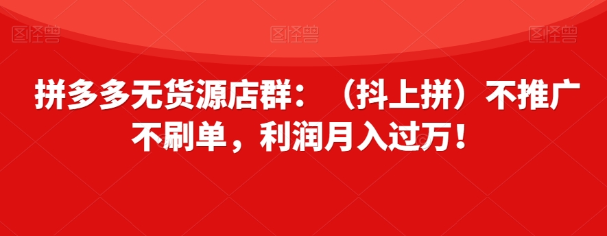 拼多多无货源店群：（抖上拼）不推广不刷单，利润月入过万！【揭秘】-副业资源站 | 数域行者