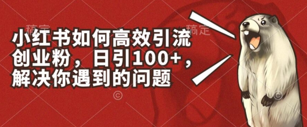 小红书如何高效引流创业粉，日引100+，解决你遇到的问题【揭秘】-副业资源站 | 数域行者