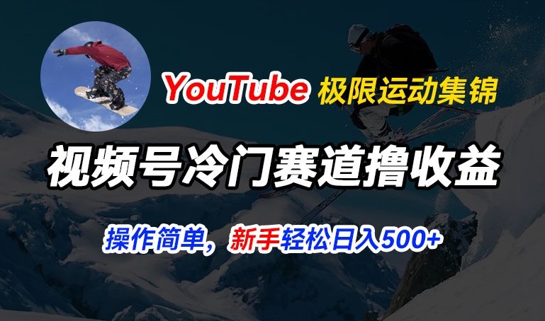 视频号冷门赛道撸收益，YouTube搬运极限运动集锦，暴力起号，操作简单流量高，轻松日入5张【揭秘】-副业资源站 | 数域行者