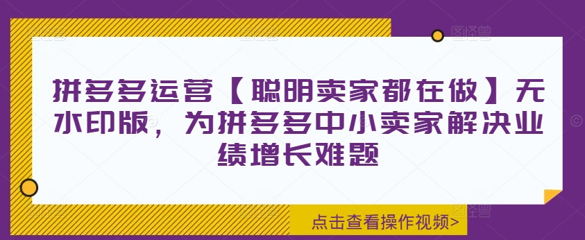 拼多多运营【聪明卖家都在做】无水印版，为拼多多中小卖家解决业绩增长难题-副业资源站 | 数域行者