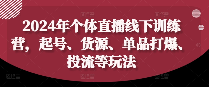 2024年个体直播训练营，起号、货源、单品打爆、投流等玩法-副业资源站 | 数域行者