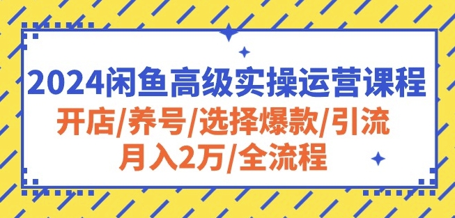 2024闲鱼高级实操运营课程：开店/养号/选择爆款/引流/月入2万/全流程-副业资源站 | 数域行者