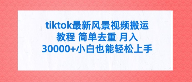 TikTok风景视频爆火秘籍：一键去重，小白月赚3W+实战教程-副业资源站 | 数域行者