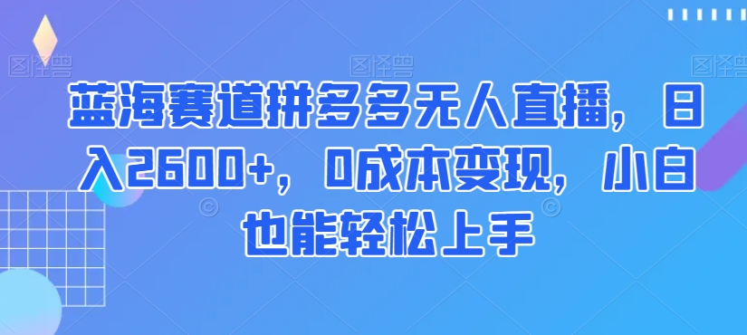 蓝海赛道拼多多无人直播，日入2600+，0成本变现，小白也能轻松上手【揭秘】-副业资源站 | 数域行者