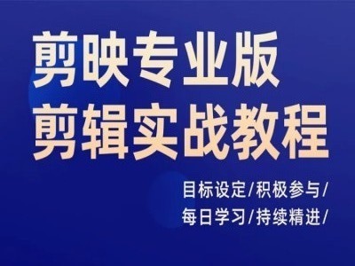 剪映专业版：实战剪辑高手养成计划，日进千里，精通每一天-副业资源站 | 数域行者