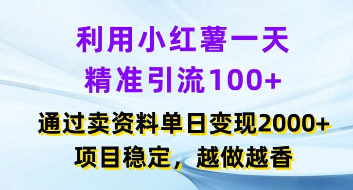 小红书日引百流，项目变现2K+，稳赚不赔秘籍大公开-副业资源站 | 数域行者