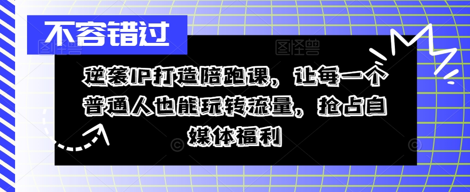 逆袭IP打造陪跑课，让每一个普通人也能玩转流量，抢占自媒体福利-副业资源站 | 数域行者