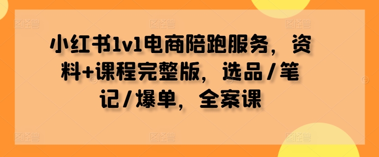 小红书1v1电商陪跑服务，资料+课程完整版，选品/笔记/爆单，全案课-副业资源站 | 数域行者