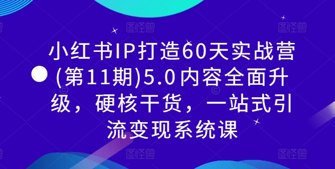 小红书IP打造60天实战营(第11期)5.0​内容全面升级，硬核干货，一站式引流变现系统课-副业资源站 | 数域行者