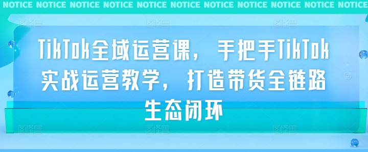 TikTok全域运营课，手把手TikTok实战运营教学，打造带货全链路生态闭环-副业资源站 | 数域行者