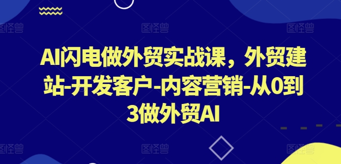 AI闪电做外贸实战课，​外贸建站-开发客户-内容营销-从0到3做外贸AI（更新）-副业资源站 | 数域行者