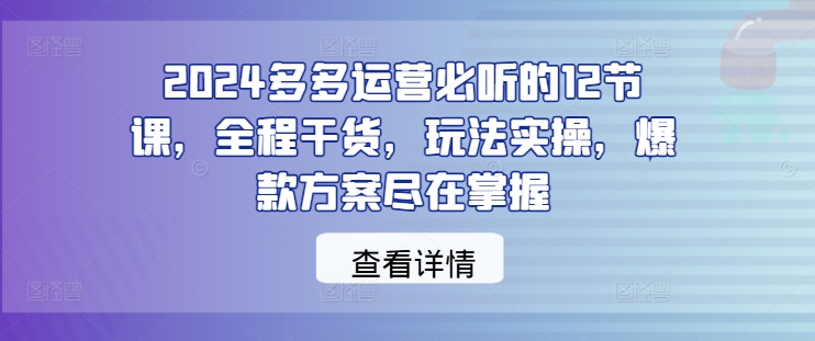 2024多多运营必听的12节课，全程干货，玩法实操，爆款方案尽在掌握-副业资源站 | 数域行者