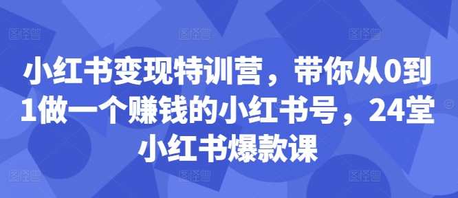 小红书变现特训营，带你从0到1做一个赚钱的小红书号，24堂小红书爆款课-副业资源站 | 数域行者