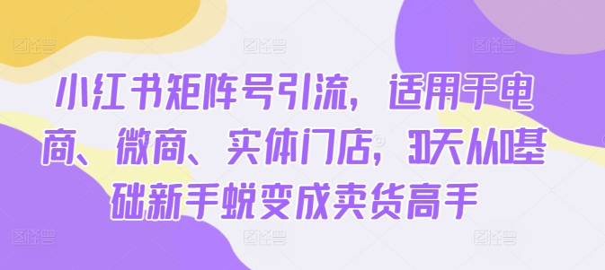 小红书矩阵号引流，适用于电商、微商、实体门店，30天从0基础新手蜕变成卖货高手-副业资源站 | 数域行者