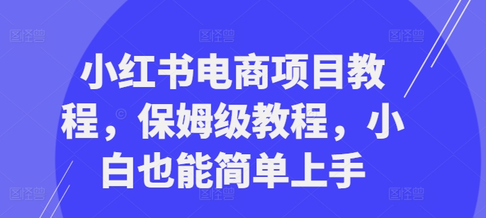 小红书电商项目教程，保姆级教程，小白也能简单上手-副业资源站 | 数域行者