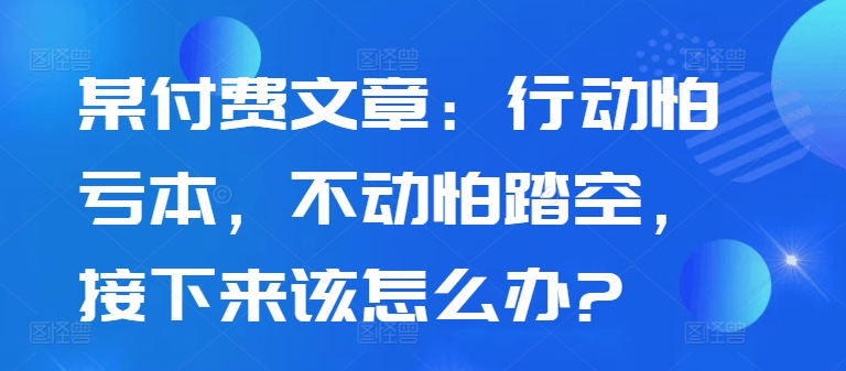 某付费文章：行动怕亏本，不动怕踏空，接下来该怎么办?-副业资源站 | 数域行者