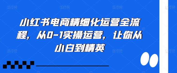 小红书电商精细化运营全流程，从0-1实操运营，让你从小白到精英-副业资源站 | 数域行者