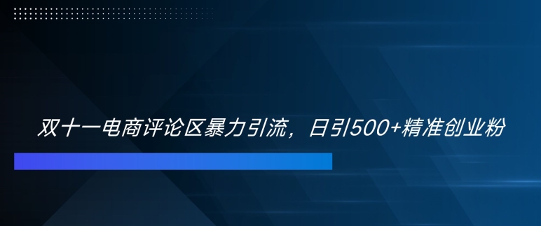 双十一电商评论区暴力引流，日引500+精准创业粉【揭秘】-副业资源站 | 数域行者