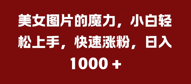 美女图片的魔力，小白轻松上手，快速涨粉，日入几张【揭秘】-副业资源站 | 数域行者