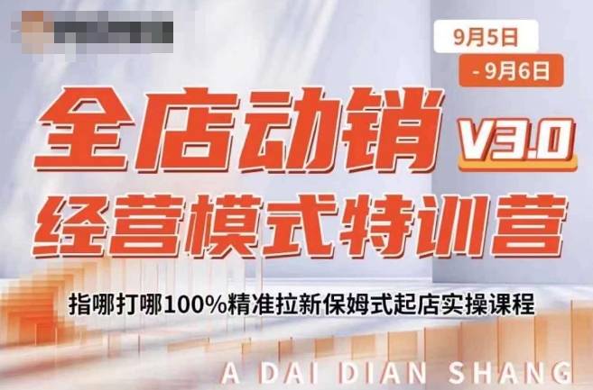 全店动销经营模式特训营，指哪打哪100%精准拉新保姆式起店实操课程-副业资源站 | 数域行者