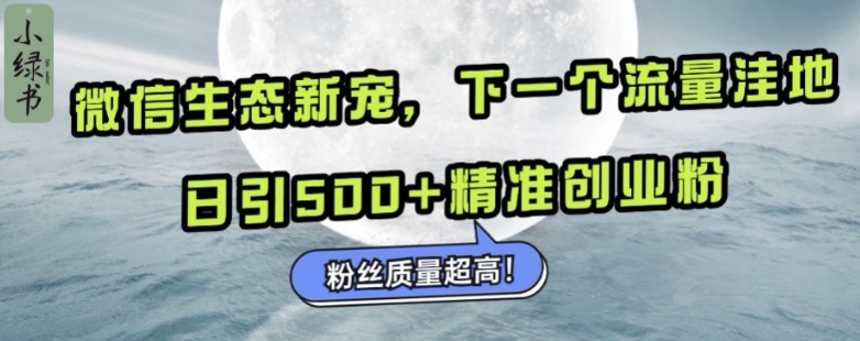 微信生态新宠小绿书：下一个流量洼地，日引500+精准创业粉，粉丝质量超高-副业资源站 | 数域行者