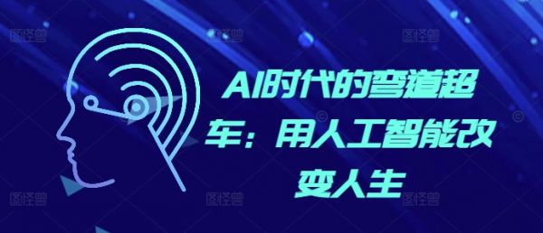 AI时代的弯道超车：用人工智能改变人生-副业资源站 | 数域行者