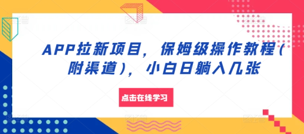 APP拉新项目，保姆级操作教程(附渠道)，小白日躺入几张【揭秘】-副业资源站 | 数域行者