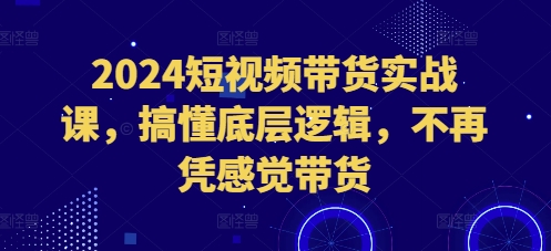 2024短视频带货实战课，搞懂底层逻辑，不再凭感觉带货-副业资源站 | 数域行者