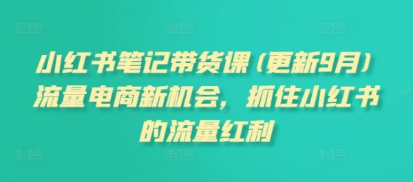 小红书笔记带货课(更新12月)流量电商新机会，抓住小红书的流量红利-副业资源站 | 数域行者