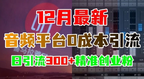 12月最新：音频平台0成本引流，日引流300+精准创业粉-副业资源站 | 数域行者