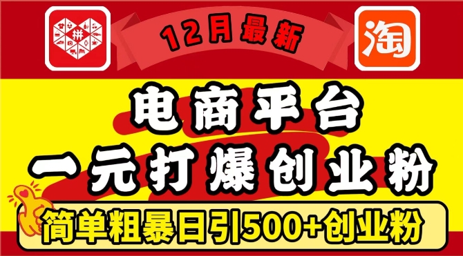 12月最新：电商平台1元打爆创业粉，简单粗暴日引500+精准创业粉，轻松月入过W【揭秘】-副业资源站 | 数域行者