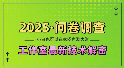 2025问卷调查最新工作室技术解密：一个人在家也可以闷声发大财，小白一天2张，可矩阵放大【揭秘】-副业资源站 | 数域行者