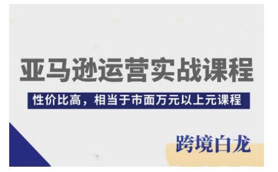 亚马逊运营实战课程，亚马逊从入门到精通，性价比高，相当于市面万元以上元课程-副业资源站 | 数域行者