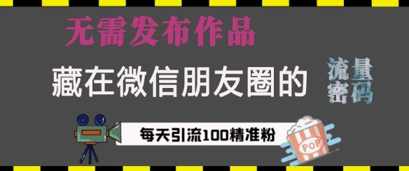 藏在微信朋友圈的流量密码，无需发布作品，单日引流100+精准创业粉【揭秘】-副业资源站 | 数域行者