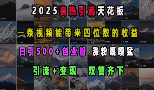 2025自热引流天花板，一条视频能带来四位数的收益，引流+变现双管齐下，日引500+创业粉，涨粉嘎嘎猛-副业资源站 | 数域行者