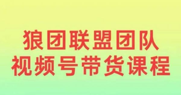 狼团联盟2024视频号带货，0基础小白快速入局视频号-副业资源站 | 数域行者