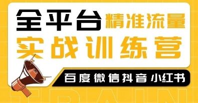 全平台精准流量实战训练营，百度微信抖音小红书SEO引流教程-副业资源站 | 数域行者