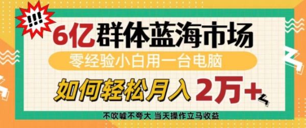 6亿群体蓝海市场，零经验小白用一台电脑，如何轻松月入过w【揭秘】-副业资源站 | 数域行者