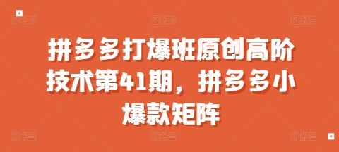 拼多多打爆班原创高阶技术第41期，拼多多小爆款矩阵-副业资源站 | 数域行者