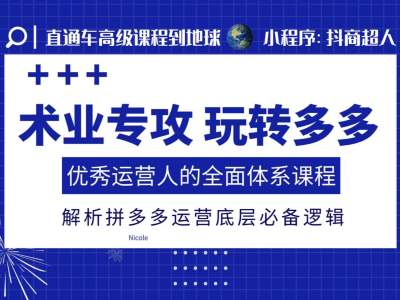 术业专攻玩转多多，优秀运营人的全面体系课程，解析拼多多运营底层必备逻辑-副业资源站 | 数域行者