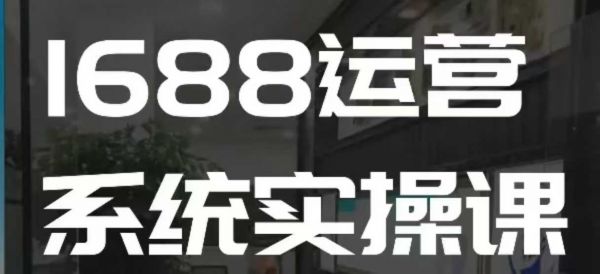 1688高阶运营系统实操课，快速掌握1688店铺运营的核心玩法-副业资源站 | 数域行者