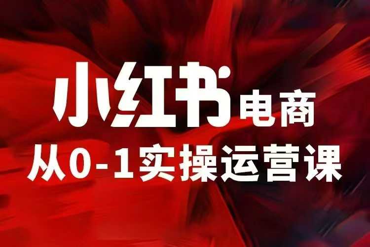 小红书电商运营，97节小红书vip内部课，带你实现小红书赚钱-副业资源站 | 数域行者