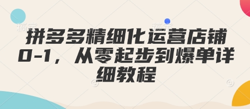 拼多多精细化运营店铺0-1，从零起步到爆单详细教程-副业资源站 | 数域行者