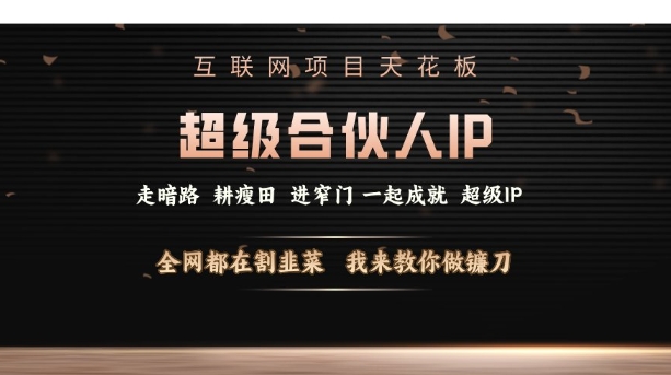 互联网项目天花板，超级合伙人IP，全网都在割韭菜，我来教你做镰刀【仅揭秘】-副业资源站 | 数域行者