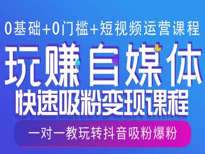 0基础+0门槛+短视频运营课程，玩赚自媒体快速吸粉变现课程，一对一教玩转抖音吸粉爆粉-副业资源站 | 数域行者