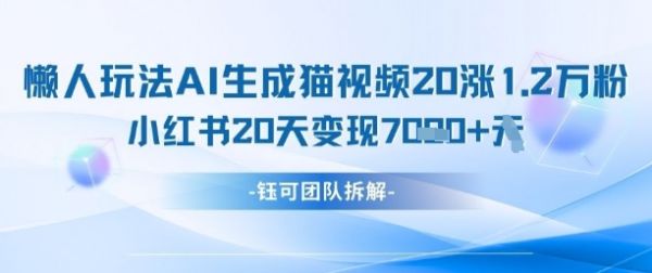 懒人玩法AI生成猫咪图片视频，20涨1.2W万粉，小红书商单20天变现7k-副业资源站 | 数域行者